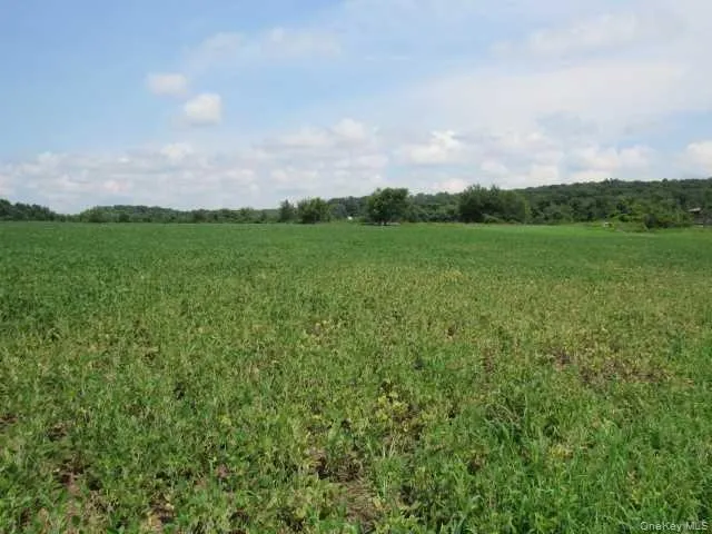 a view of a city with lush green forest