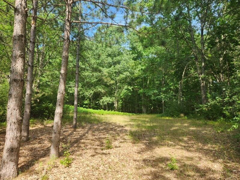 7354 South Riverbend Road, Unit LOT 52 Branch, MI 49402 - Photo 2 of 4 image000002