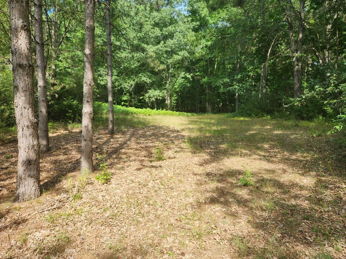 7354 South Riverbend Road, Unit LOT 52 Branch, MI 49402 - Photo 3 of 4 image000003