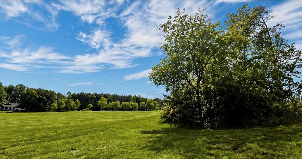 a view of a field with an trees