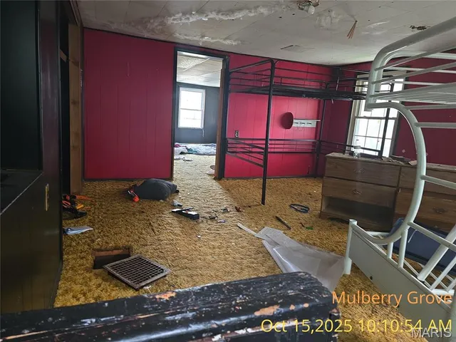 $19,900 | 305 North Maple Street, Mulberry Grove, IL 62262