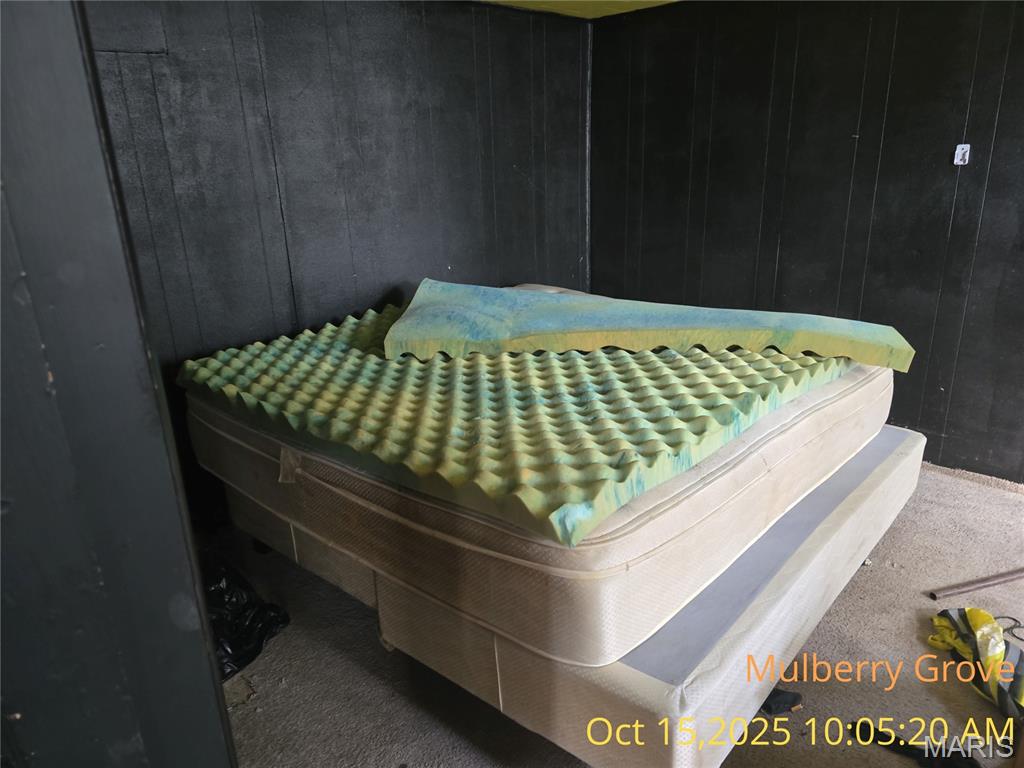 305 North Maple Street Mulberry Grove, IL 62262 - Photo 14 of 30