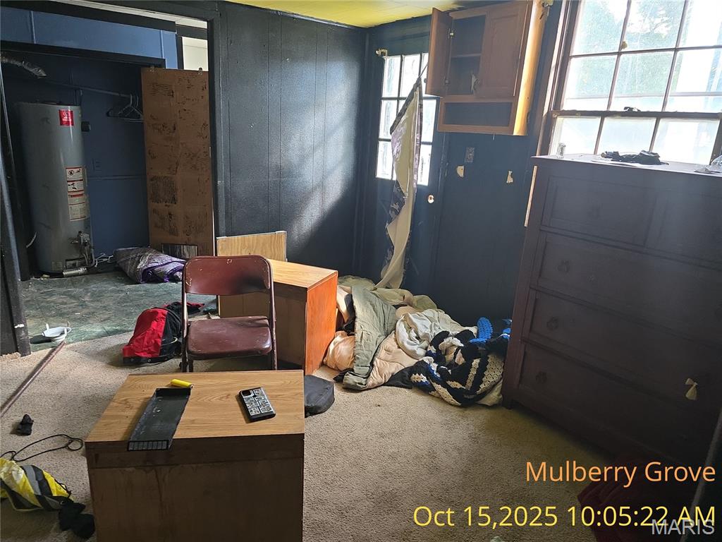 305 North Maple Street Mulberry Grove, IL 62262 - Photo 15 of 30