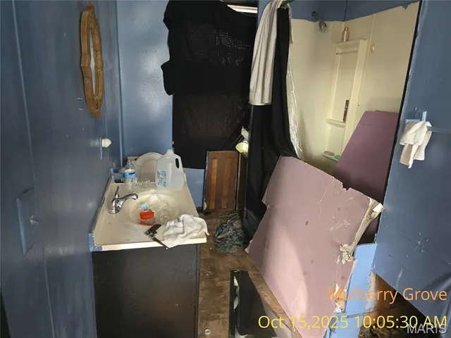 $19,900 | 305 North Maple Street, Mulberry Grove, IL 62262