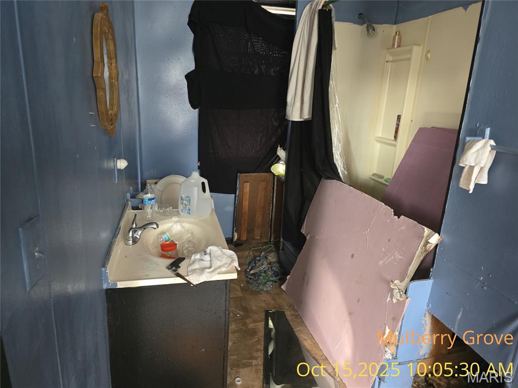 305 North Maple Street Mulberry Grove, IL 62262 - Photo 16 of 30