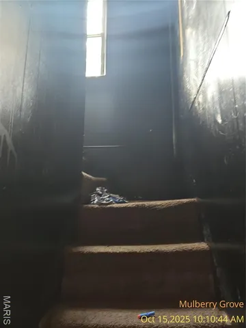 $19,900 | 305 North Maple Street, Mulberry Grove, IL 62262