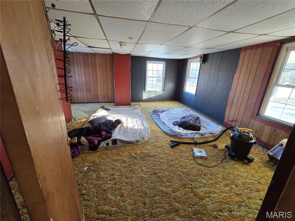 305 North Maple Street Mulberry Grove, IL 62262 - Photo 3 of 30