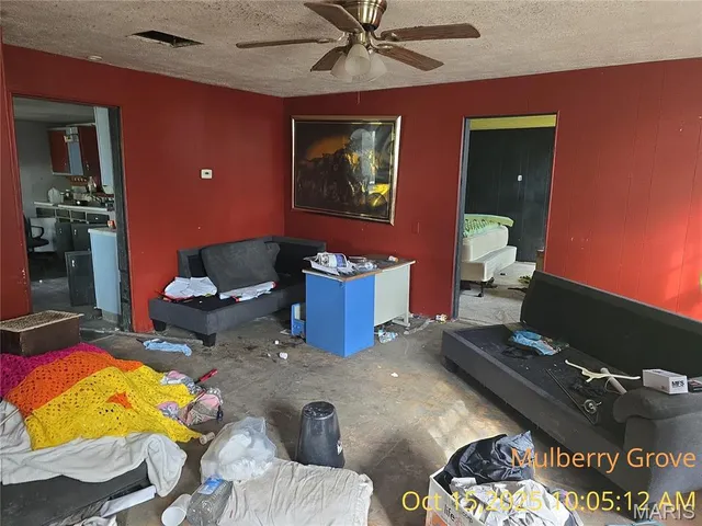 $19,900 | 305 North Maple Street, Mulberry Grove, IL 62262