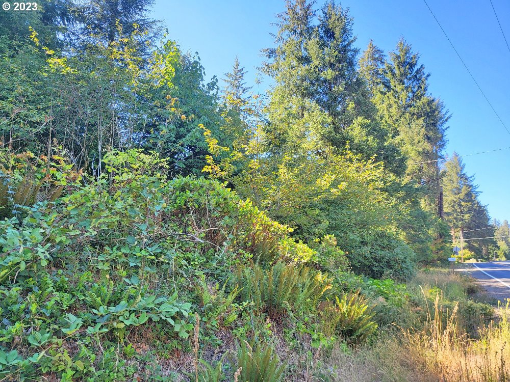 Miami Foley Road, Unit 800 Nehalem, OR 97131 - Photo 2 of 7 a view of a garden