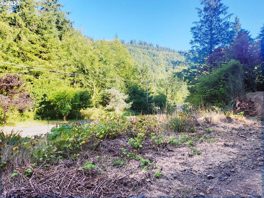 Miami Foley Road, Unit 800 Nehalem, OR 97131 - Photo 3 of 7 a view of a yard with a tree