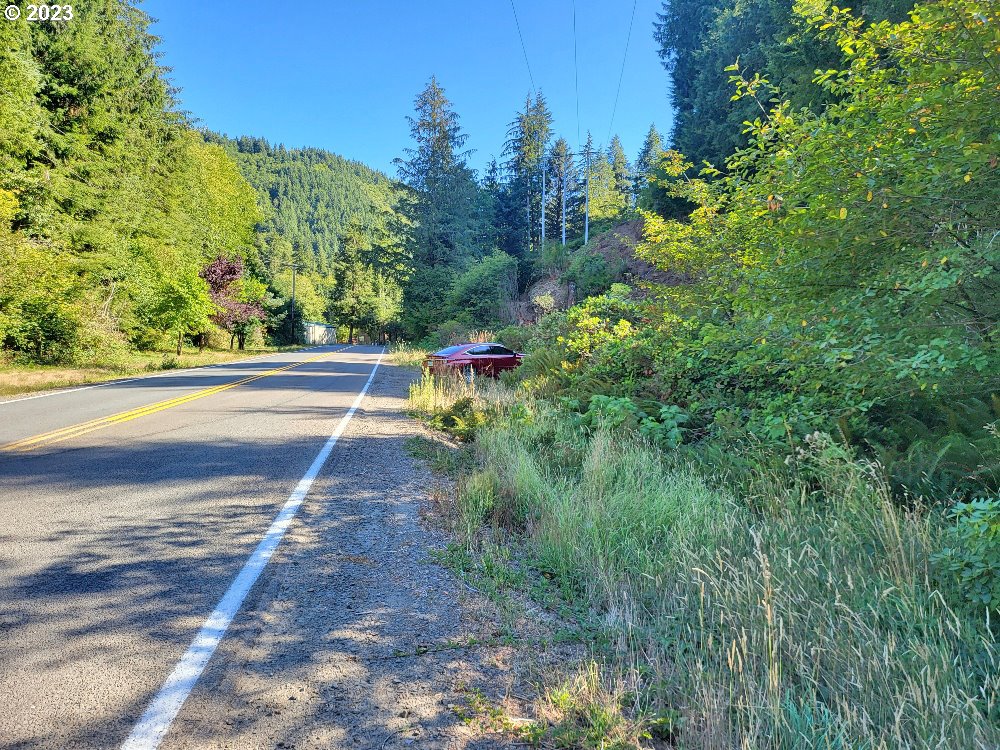 Miami Foley Road, Unit 800 Nehalem, OR 97131 - Photo 5 of 7 a view of a yard with an outdoor space