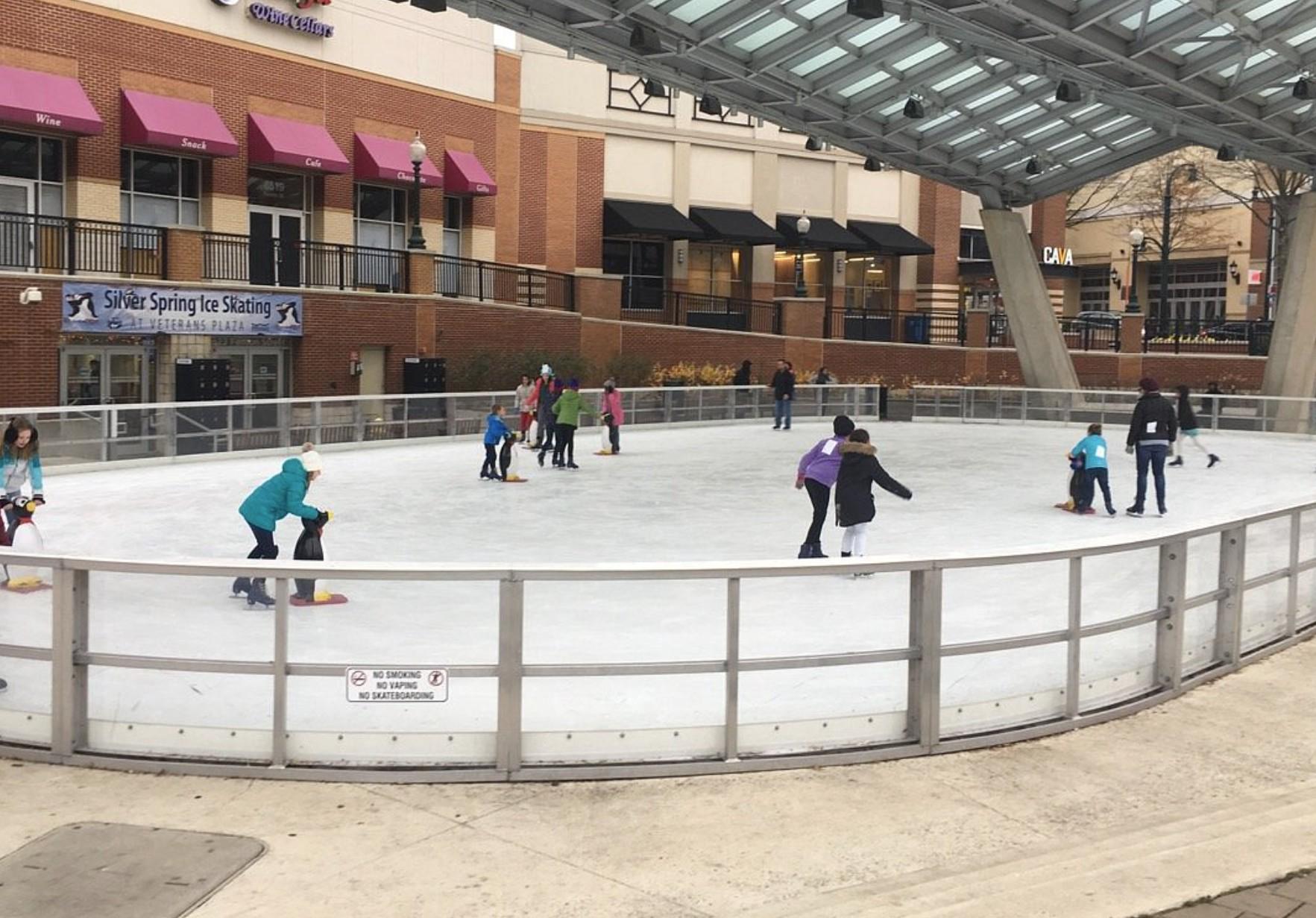 900 Bonifant Street, Unit C Silver Spring, MD 20910 - Photo 39 of 43 Winter Ice Rink