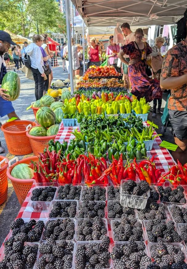 900 Bonifant Street, Unit C Silver Spring, MD 20910 - Photo 41 of 43 Farmers Market