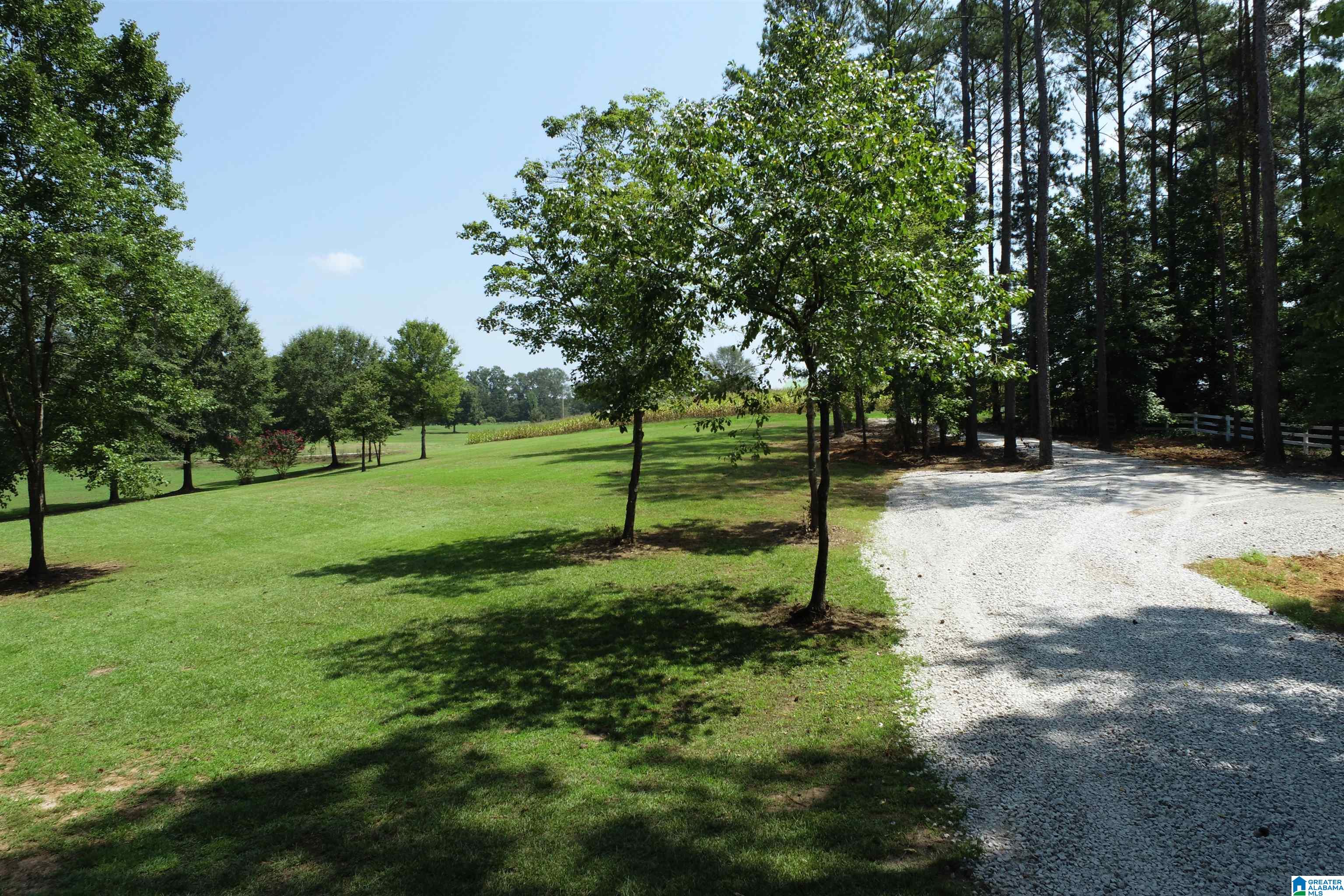 0 Wylie Road Wedowee, AL 36278 - Photo 5 of 10