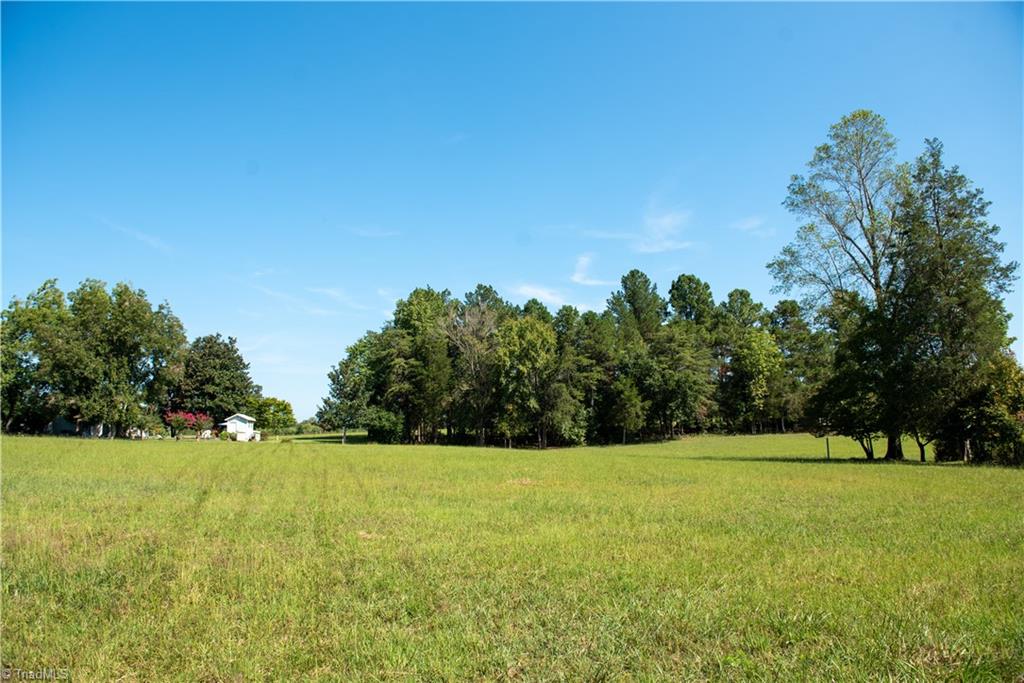 4798 Pearl Ferguson Road Liberty, NC 27298 - Photo 13 of 18
