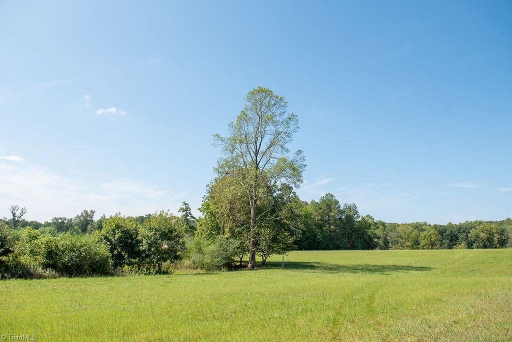 4798 Pearl Ferguson Road Liberty, NC 27298 - Photo 14 of 18