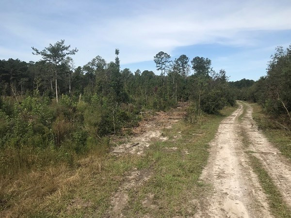 Calvary Road Benson, NC 27504 - Photo 3 of 10 Photo 3