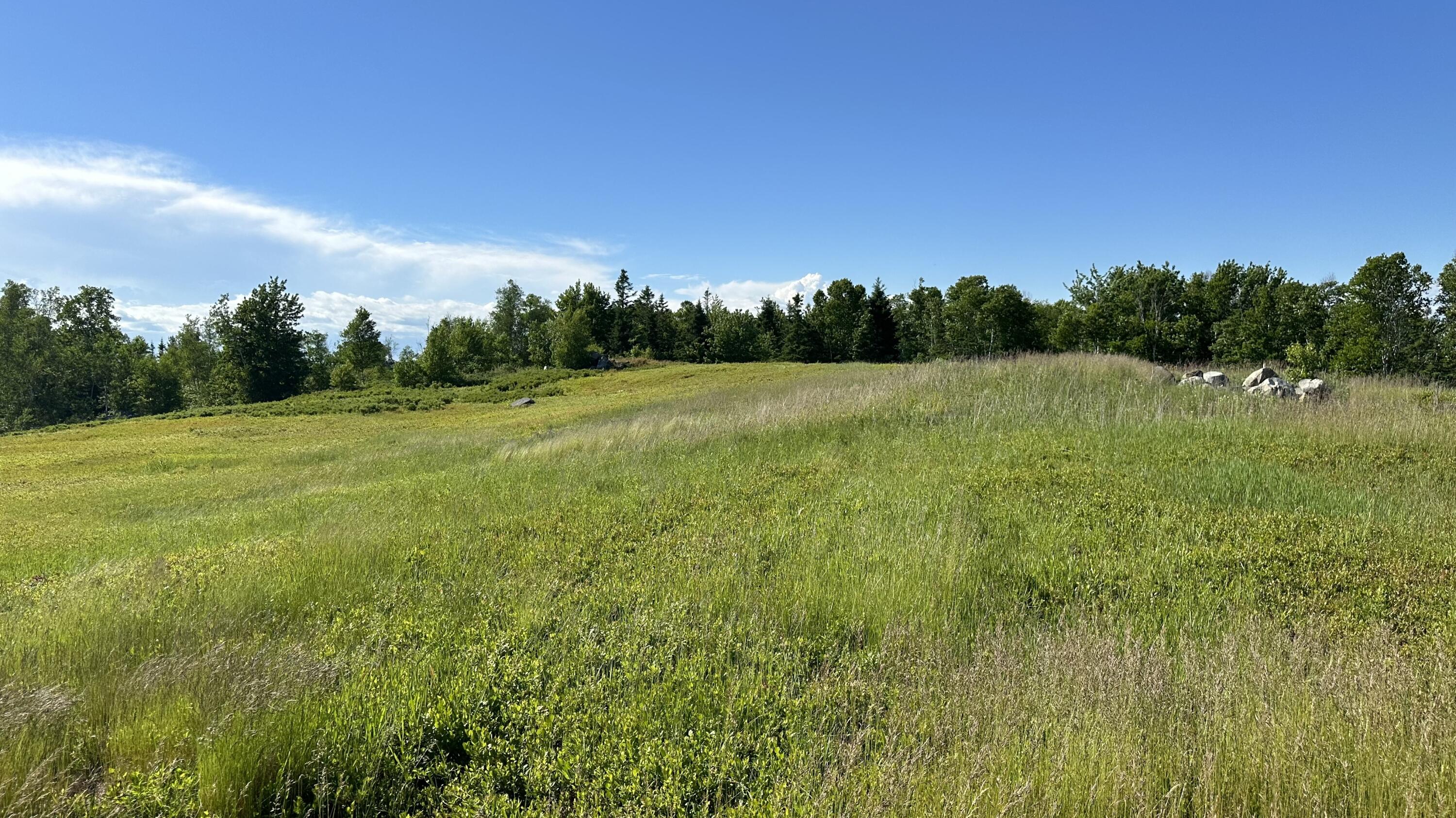 Lot # Epping Road Columbia Falls, ME 04623 - Photo 5 of 18 IMG_7727