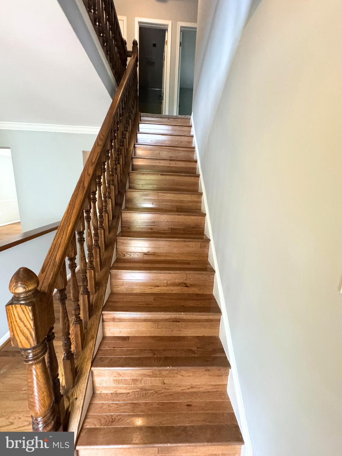 3063 Schubert Drive Silver Spring, MD 20904 - Photo 22 of 54