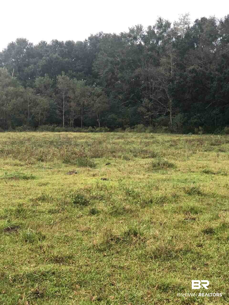 13390 Norris Lane Foley, AL 36535 - Photo 6 of 7