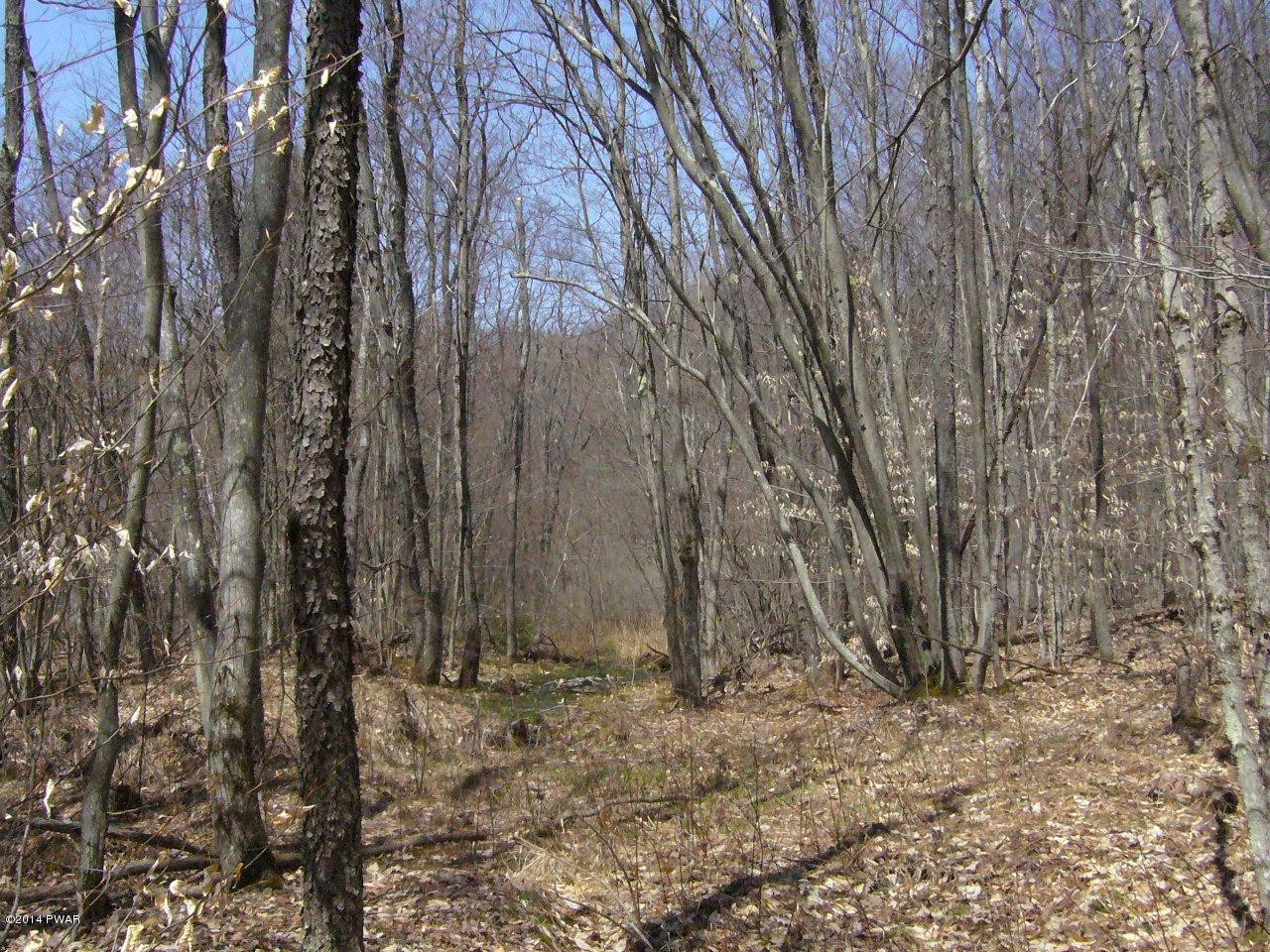 0 Dufton Hollow Road Hancock, NY 13783 - Photo 11 of 11