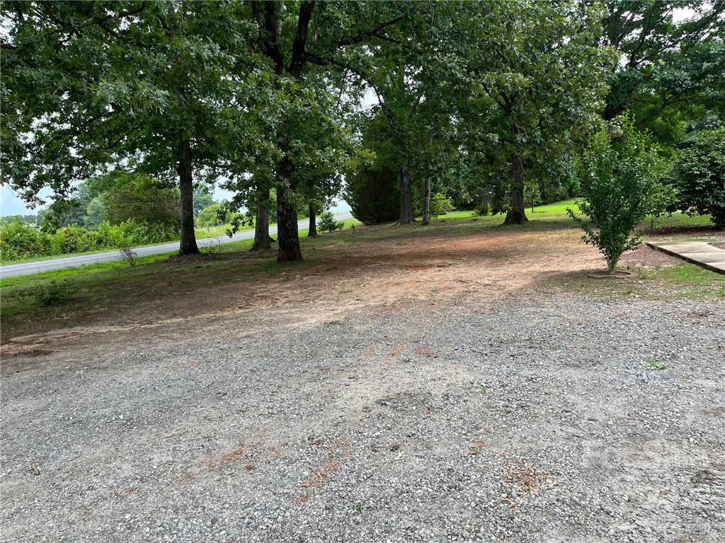 612 Mcdade Road Tryon, NC 28782 - Photo 18 of 27 a view of a tree in the middle of a yard