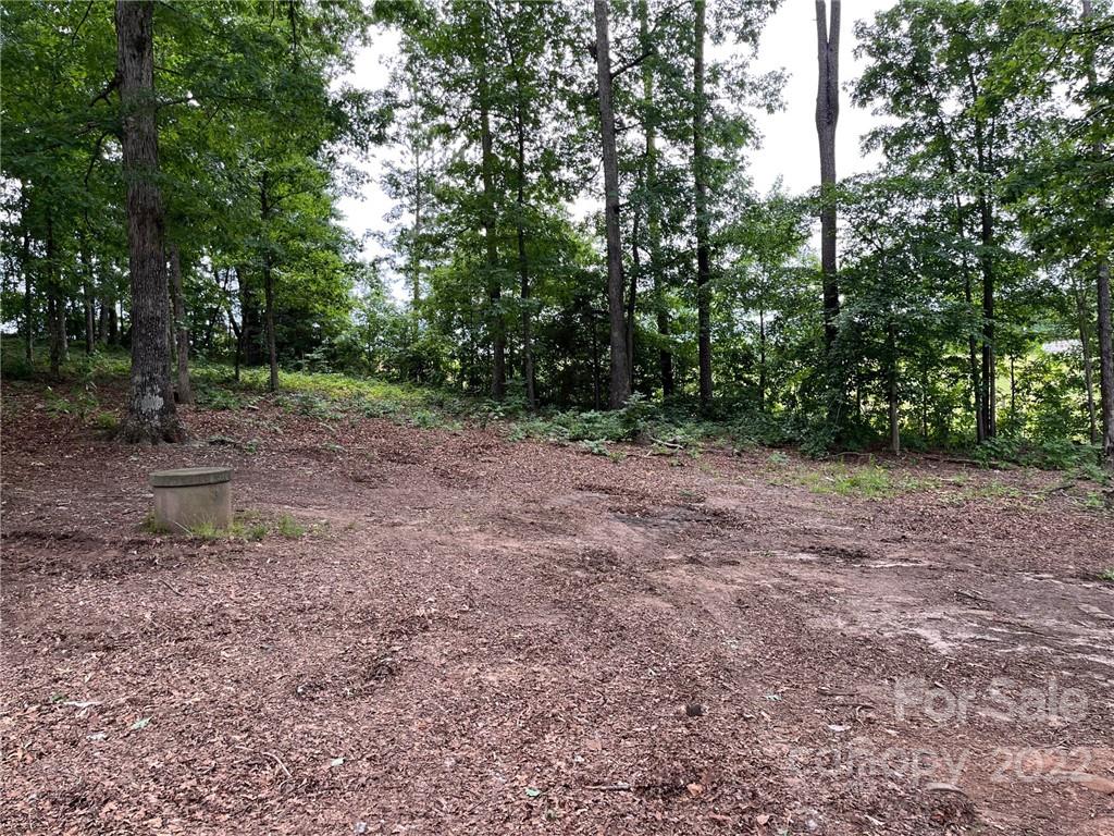 612 Mcdade Road Tryon, NC 28782 - Photo 19 of 27 a view of a yard with plants and trees