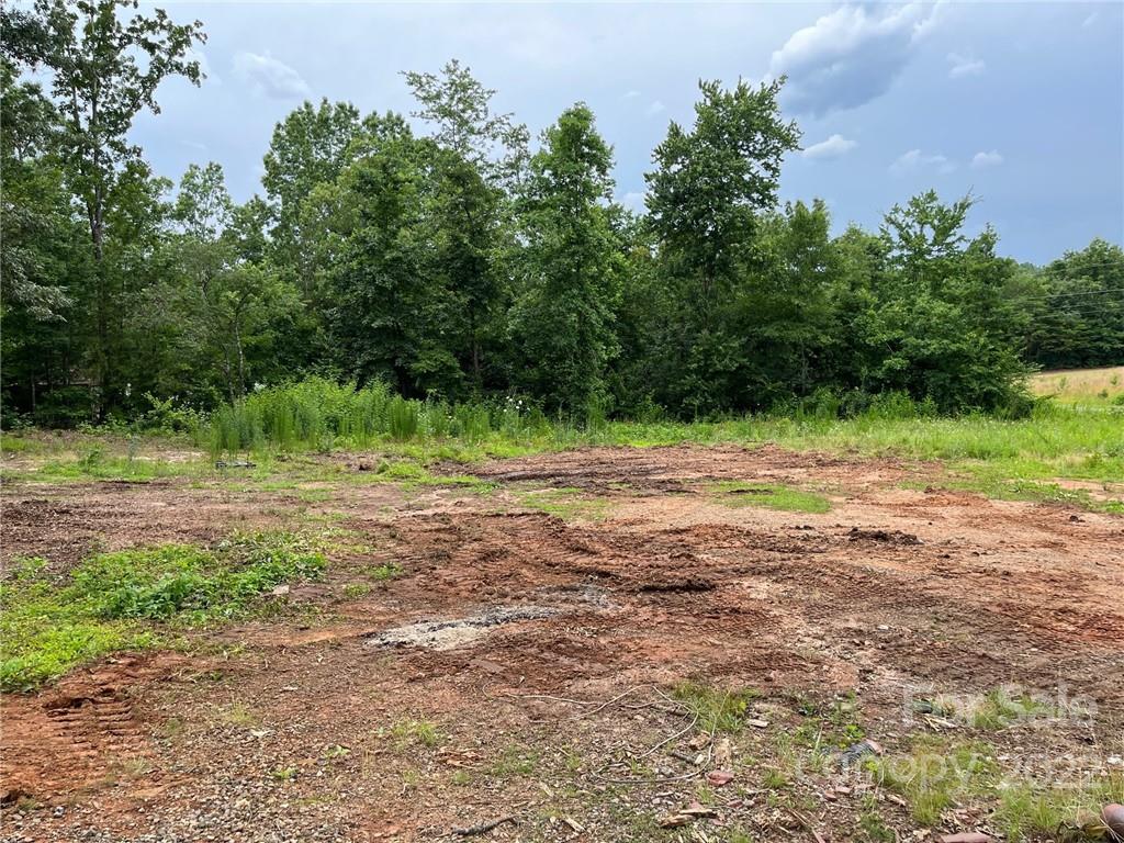 612 Mcdade Road Tryon, NC 28782 - Photo 23 of 27 a view of outdoor space with trees