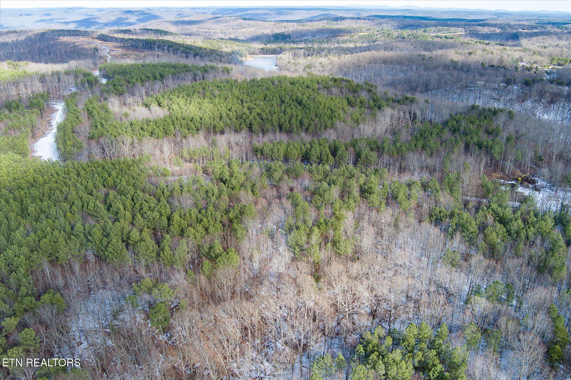 0 Spokelay Road Spencer, TN 38585 - Photo 11 of 11 8-Spokelay Rd_TNPC_008