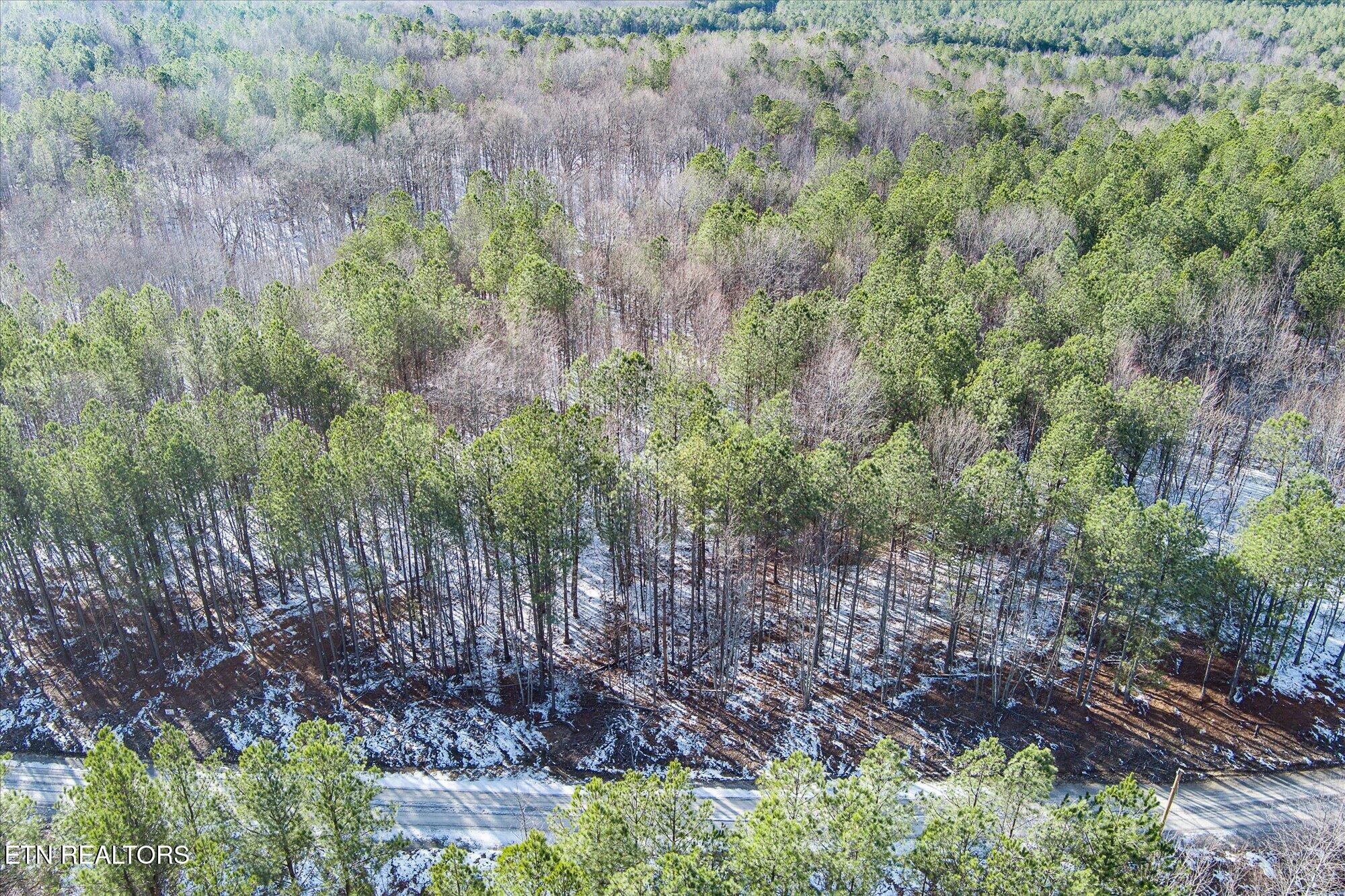 0 Spokelay Road Spencer, TN 38585 - Photo 3 of 11 1-Spokelay Rd_TNPC_001