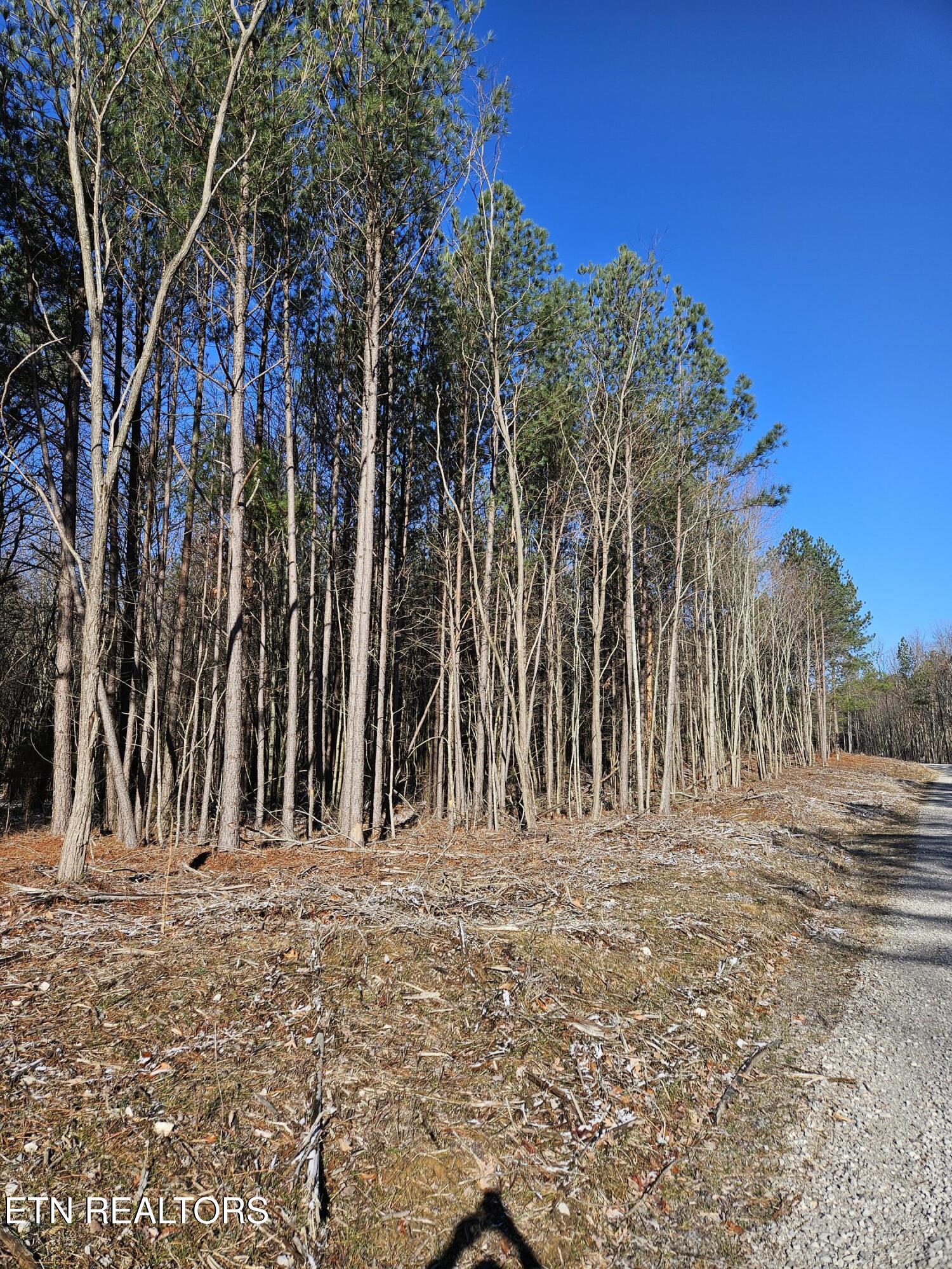 0 Spokelay Road Spencer, TN 38585 - Photo 4 of 11 Spokelay pic2