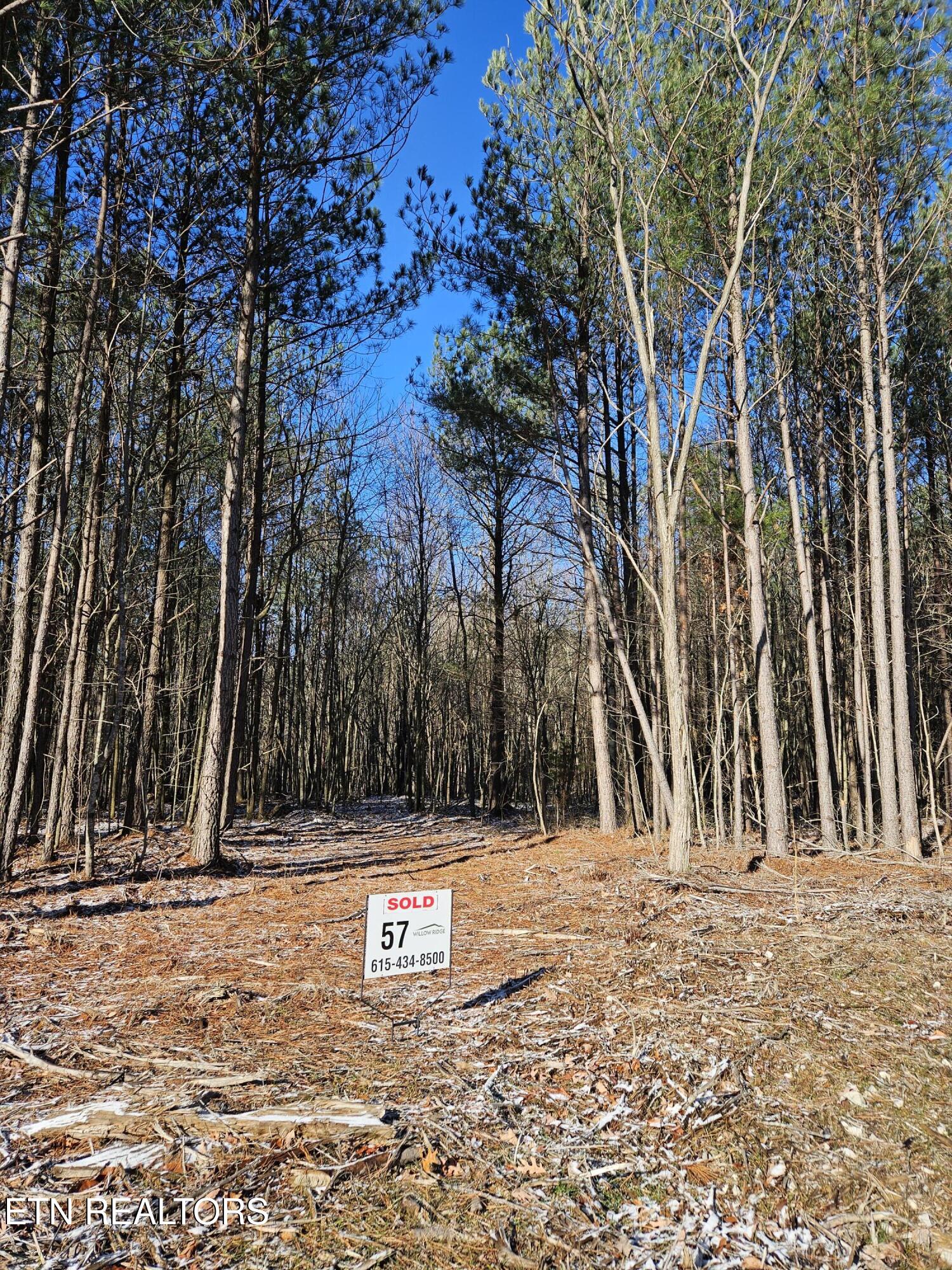 0 Spokelay Road Spencer, TN 38585 - Photo 6 of 11 Spokelay pic 1