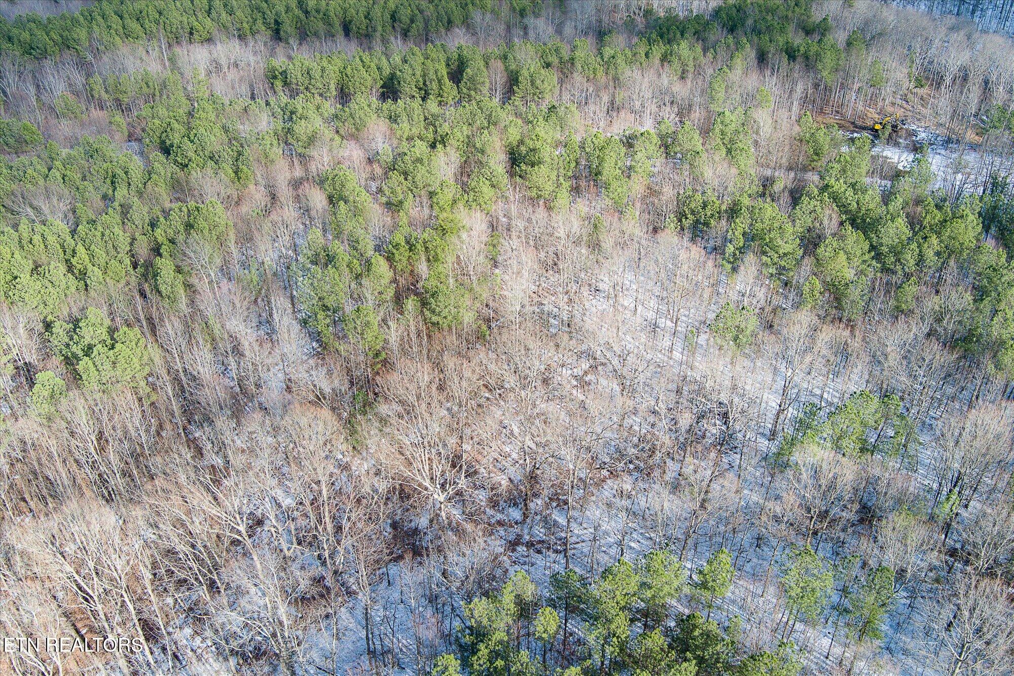 0 Spokelay Road Spencer, TN 38585 - Photo 9 of 11 6-Spokelay Rd_TNPC_006