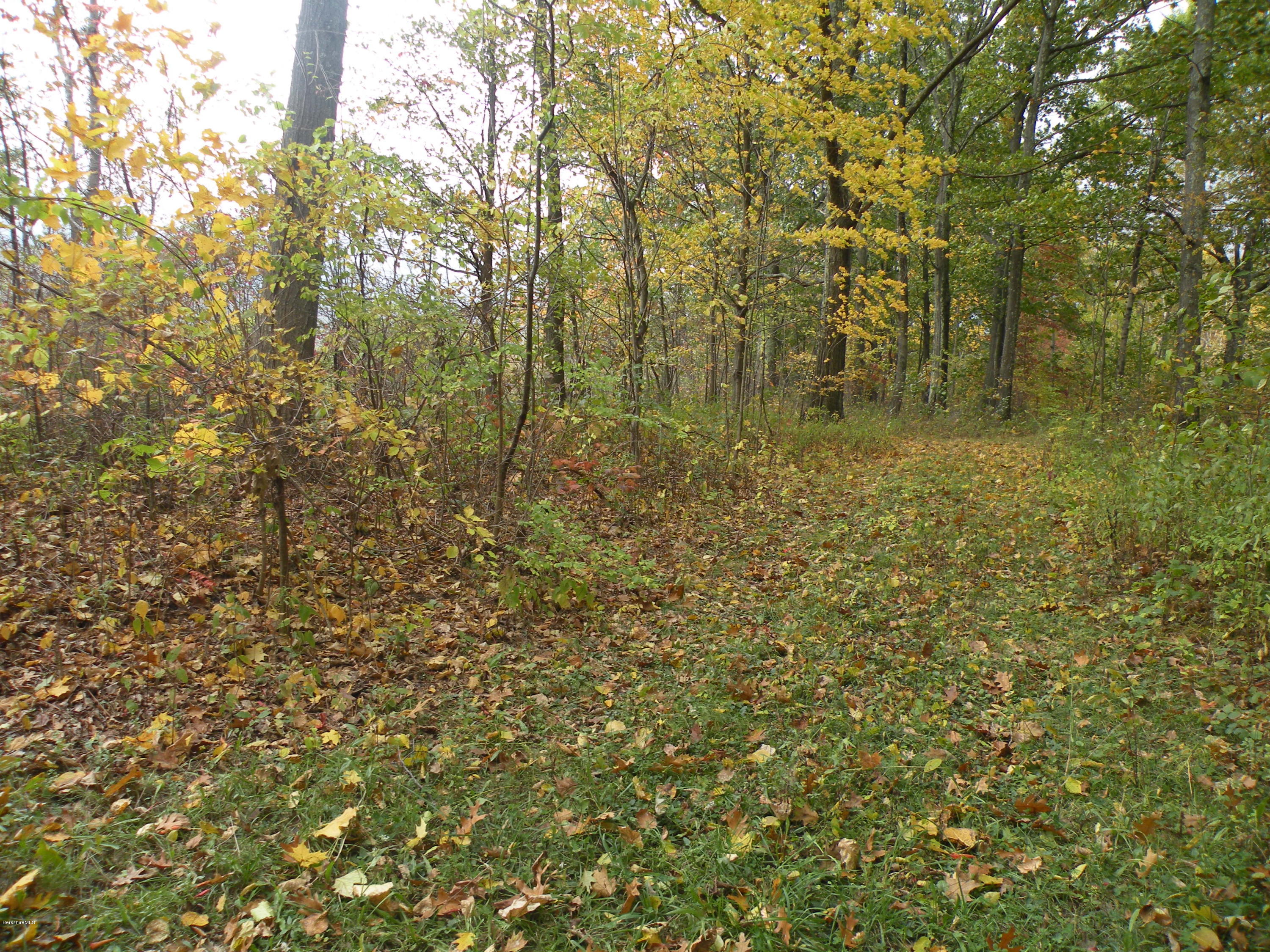 Undermountain Road Millerton, NY 12546 - Photo 2 of 6 10-18-2019 006