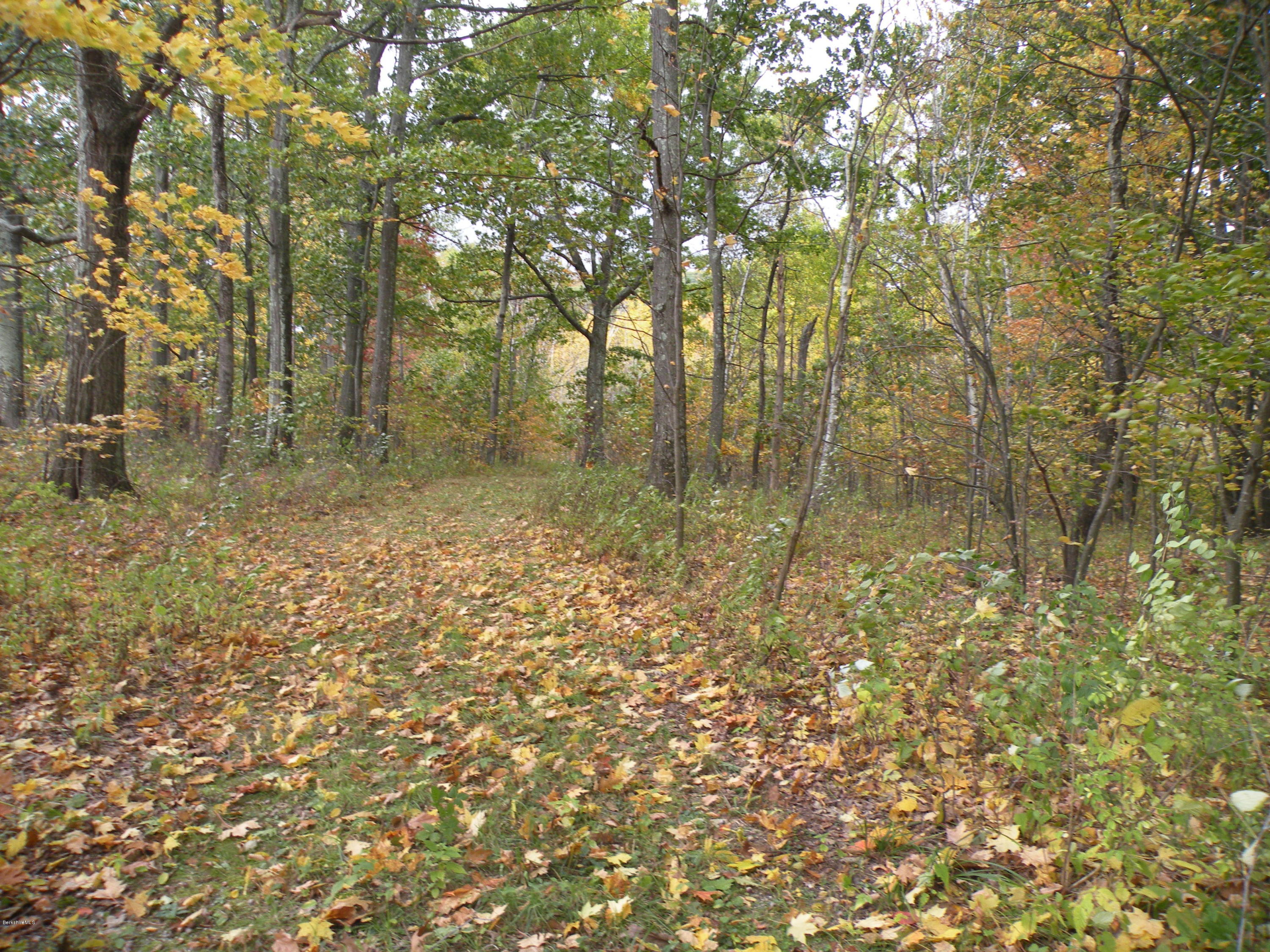 Undermountain Road Millerton, NY 12546 - Photo 3 of 6 10-18-2019 007