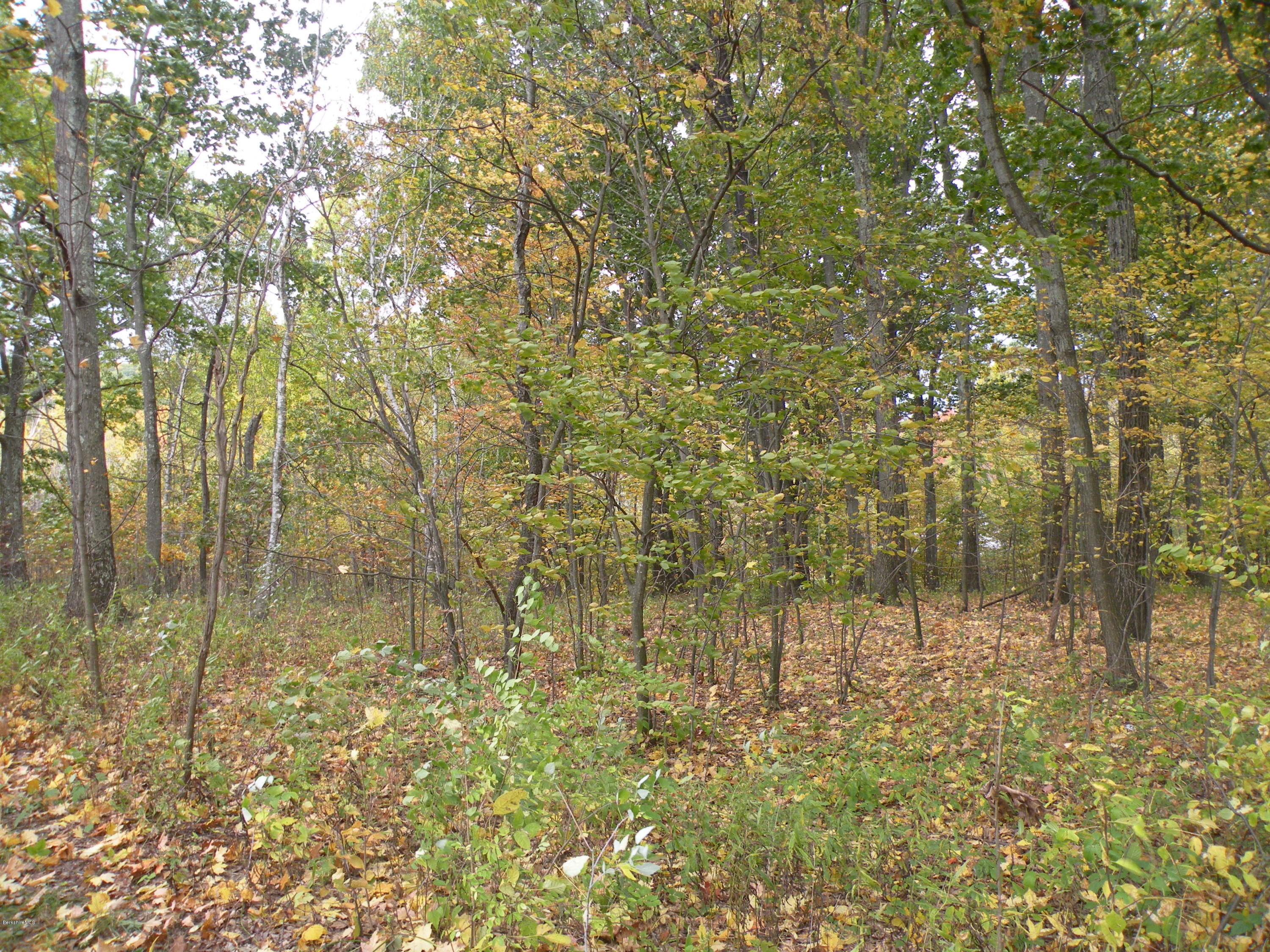 Undermountain Road Millerton, NY 12546 - Photo 4 of 6 10-18-2019 008