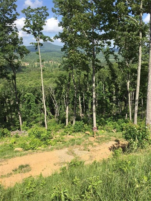 369 Ridge Pointe Way Blairsville, GA 30512 - Photo 5 of 8