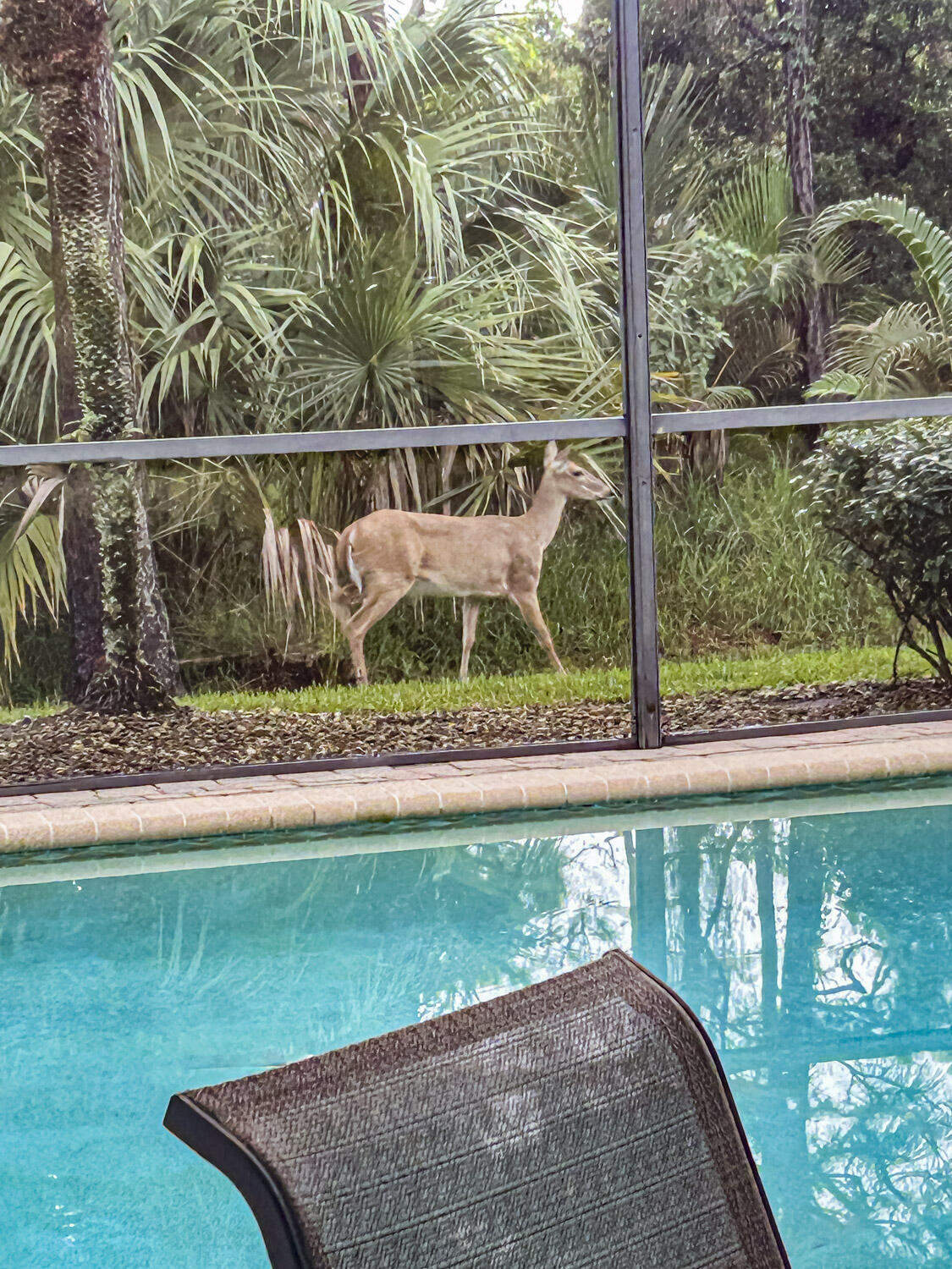 6871 Southeast Twin Oaks Circle Stuart, FL 34997 - Photo 25 of 34 How cute..