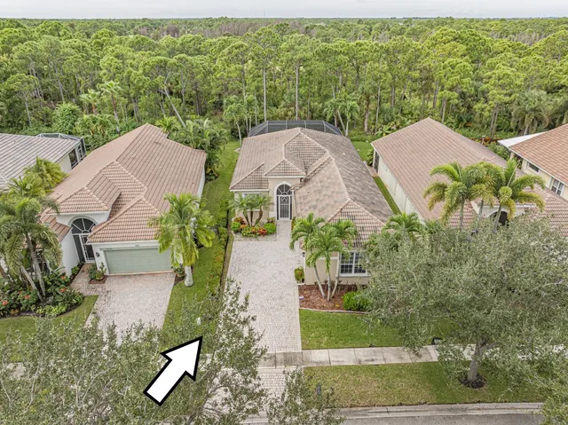 a living room filled with furniture and a potted plant