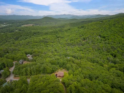 a view of a lush green forest with a mountain