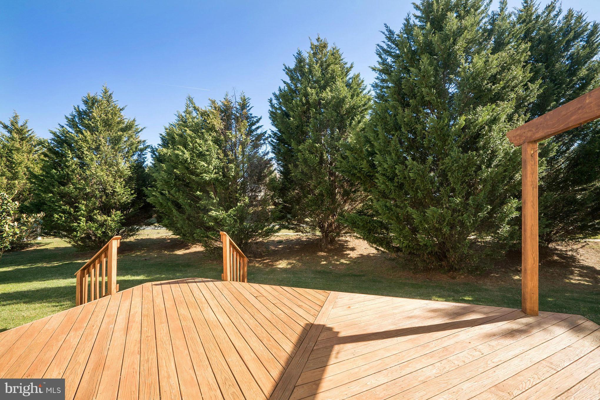 14202 Brass Wheel Road Boyds, MD 20841 - Photo 25 of 27 a view of backyard and deck