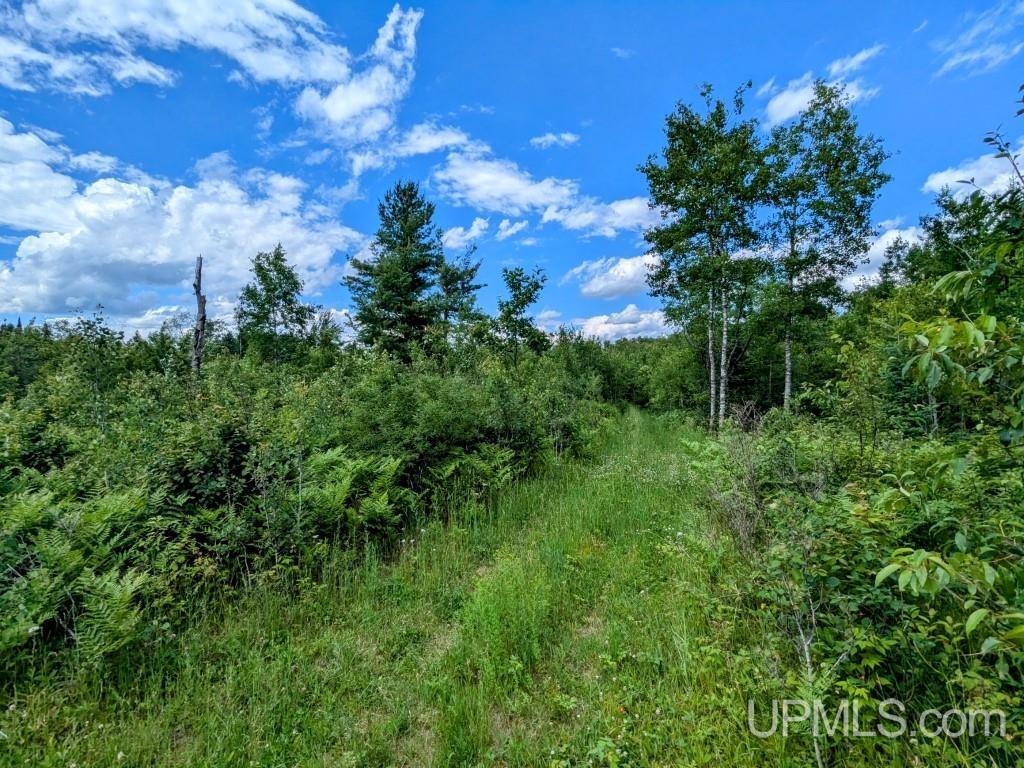 424 Rd Alpha Mi 49902 Road Alpha, MI 49902 - Photo 13 of 31