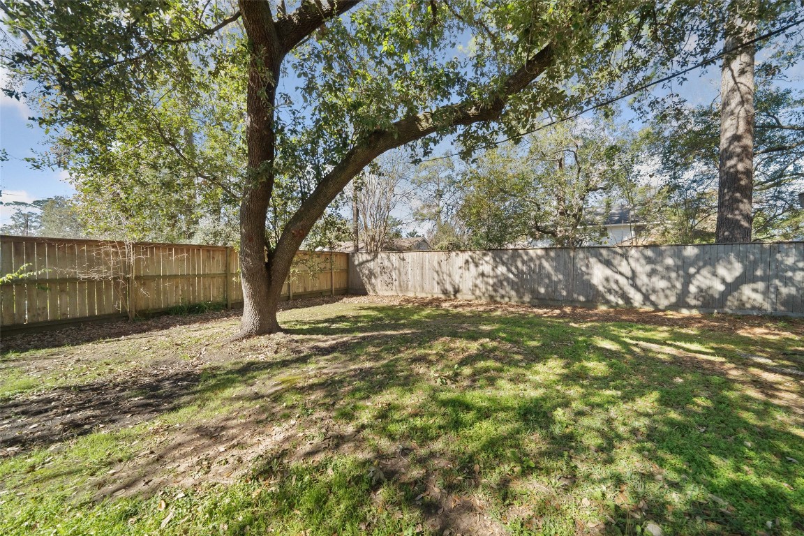 202 Black Forest Drive Spring, TX 77388 - Photo 26 of 29 a view of a yard with large tree