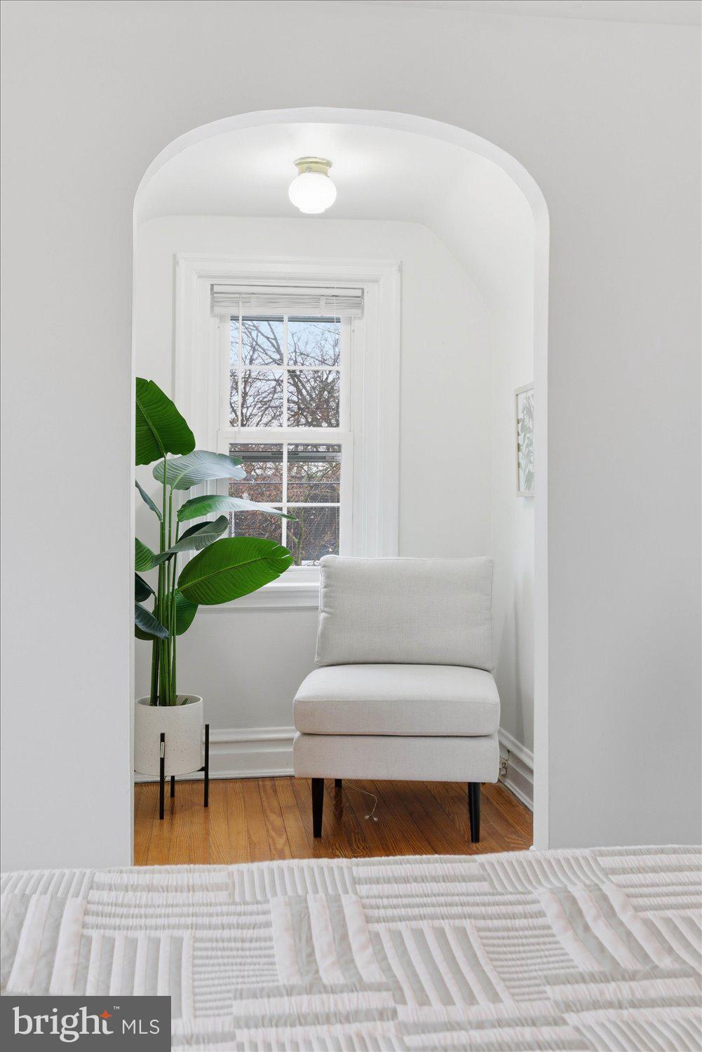 845 Paramount Avenue Lancaster, PA 17602 - Photo 29 of 49 a living room with furniture and a potted plant