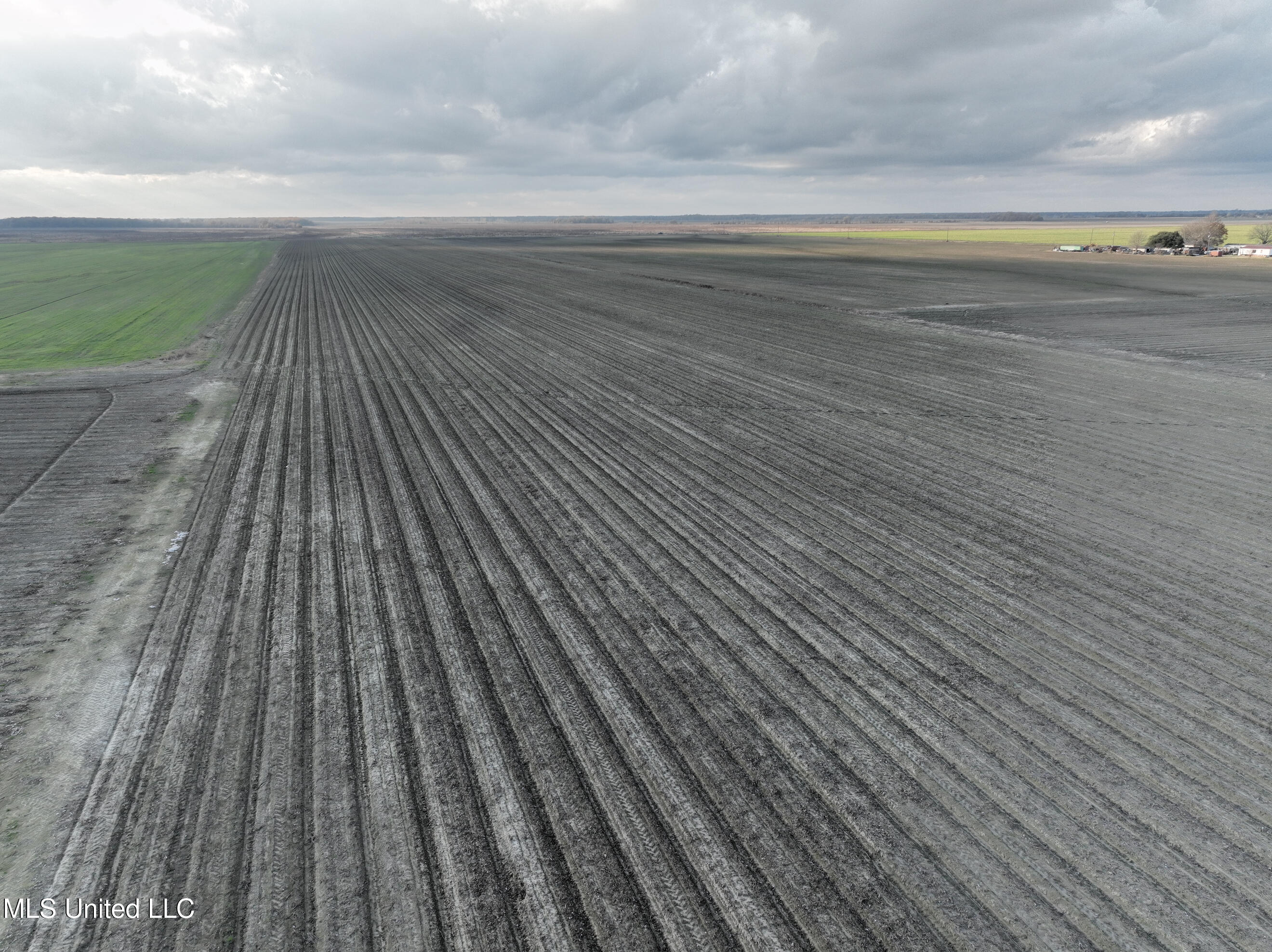 Bass Road Louise, MS 39097 - Photo 2 of 9 DJI_0130