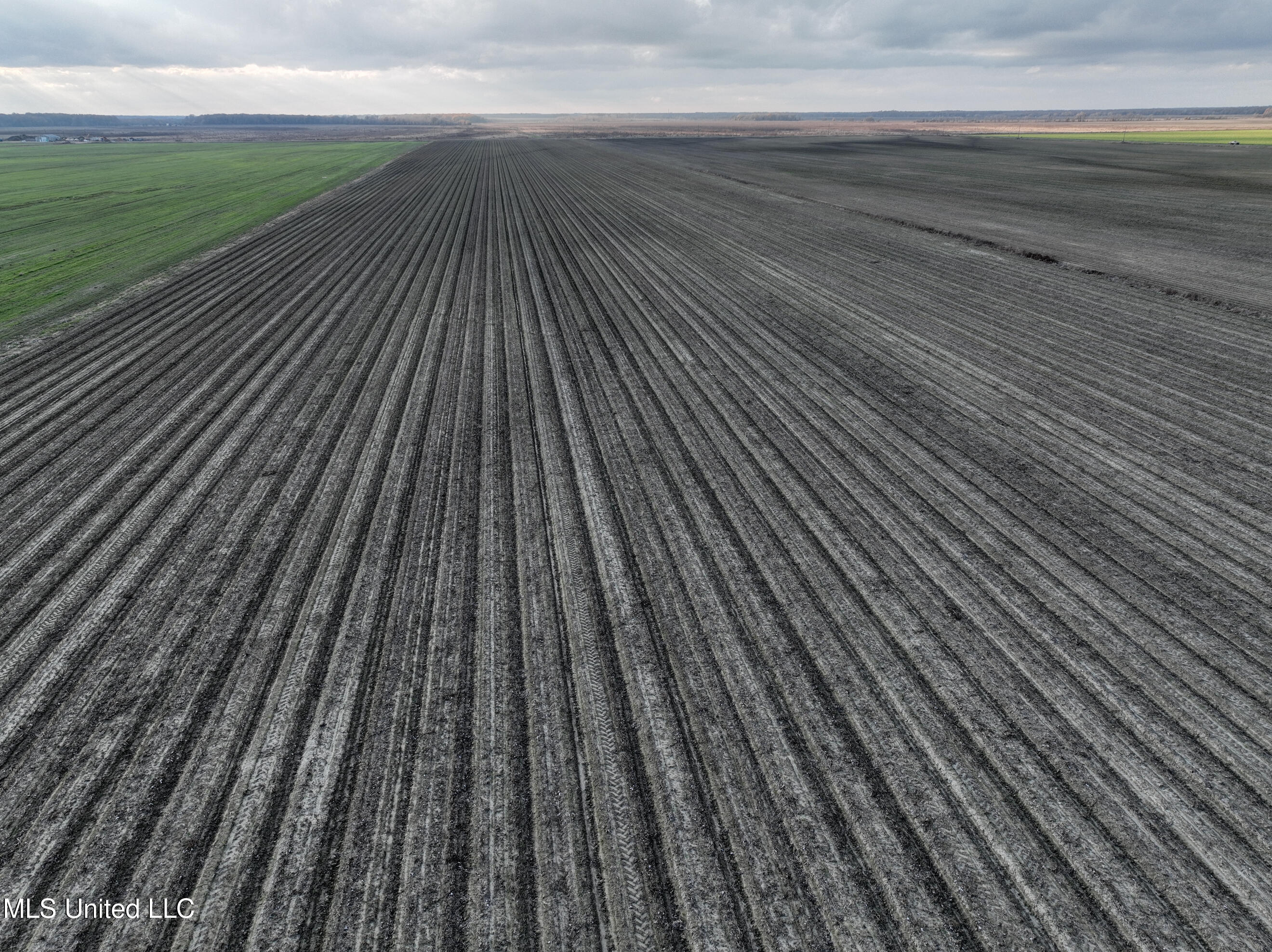 Bass Road Louise, MS 39097 - Photo 3 of 9 DJI_0131