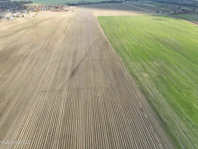 $330,000 | Bass Road, Louise, MS 39097