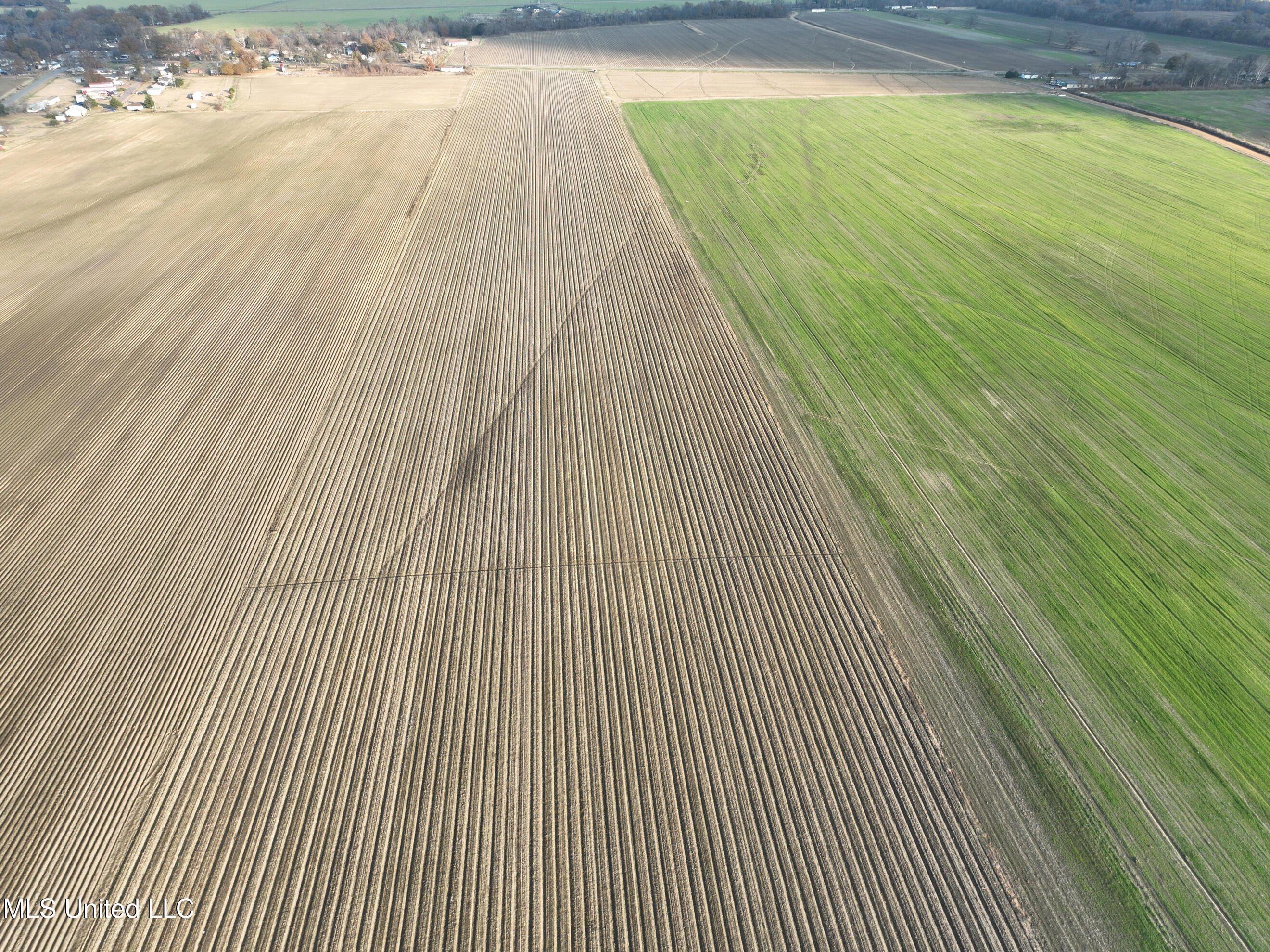 Bass Road Louise, MS 39097 - Photo 4 of 9 DJI_0133