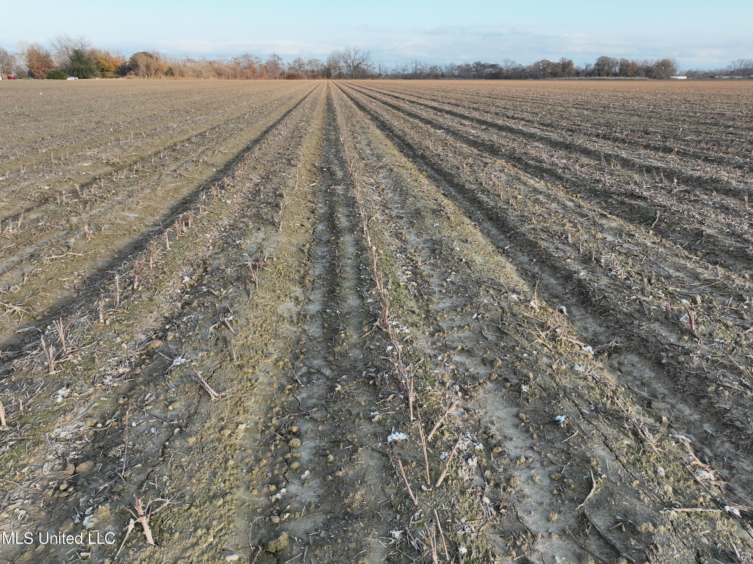 Bass Road Louise, MS 39097 - Photo 5 of 9 DJI_0136