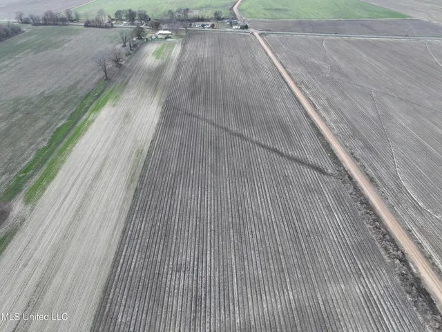 $330,000 | Bass Road, Louise, MS 39097